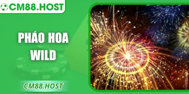 Pháo Hoa Wild – Bùng Nổ Cảm Xúc Rực Rỡ Nhất Cùng CM88 9 Pháo Hoa Wild – Bùng Nổ Cảm Xúc Rực Rỡ Nhất Cùng CM88